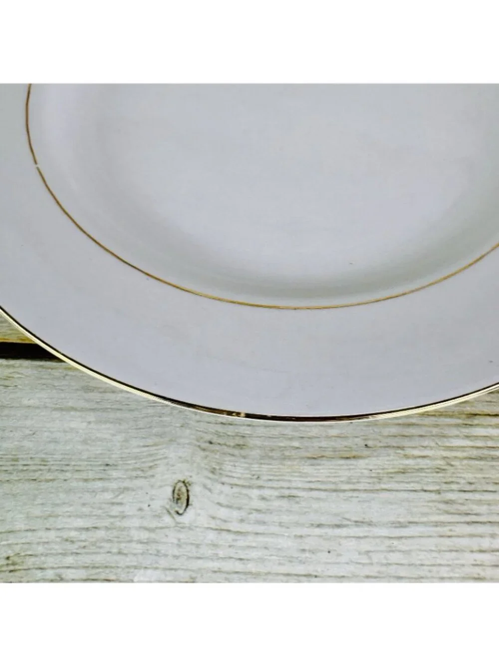 Vintage Kmart ELEGANT GOLD White Gold Trim Rim Porcelain Dinner Plates Set of 2